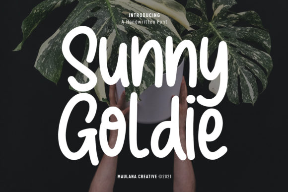 How Sunny Goldie Font Transformed My Café’s Branding