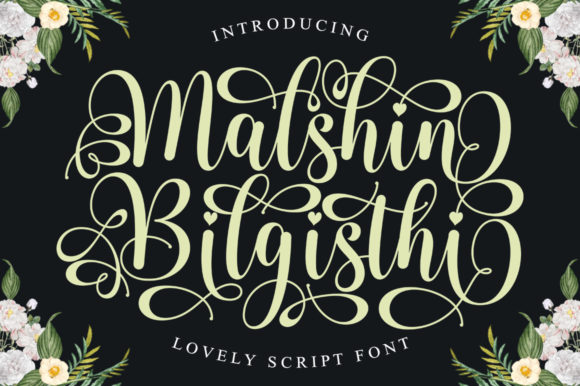 Malshin Bilgisthi Font for Elegant Editorial Design